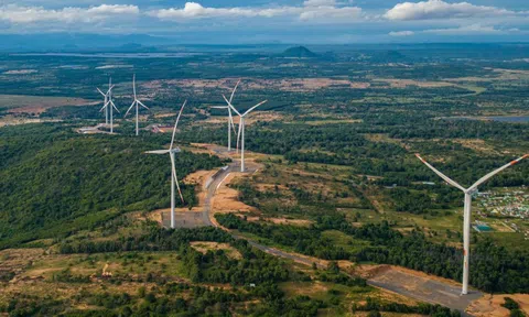 Gia Lai sắp có nhà máy điện gió hơn 48.000 tỷ đồng