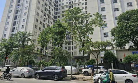 Bỗng dưng bị đuổi khỏi chung cư mua lại từ nhà ở xã hội