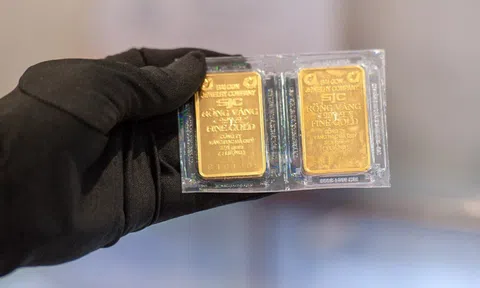 Giá vàng miếng bất ngờ 'bất động'