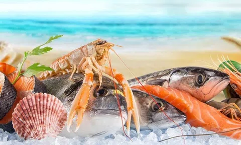 Chuyên gia Agriseco điểm tên 2 cổ phiếu thủy sản có lợi thế vượt trội, dự báo duy trì tăng trưởng cao thời gian tới