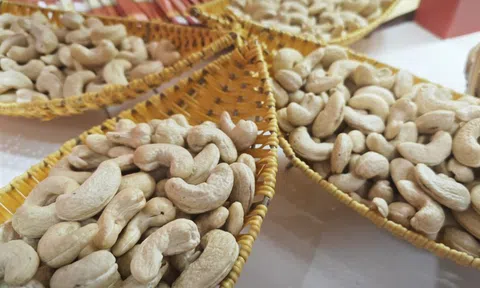 Ngành điều VIệt Nam làm nên "kỳ tích"