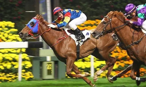 UBCKNN “bật đèn xanh”, SSI sắp tăng vốn điều lệ vượt TCBS, lấy lại “ngôi vương” ngành chứng khoán