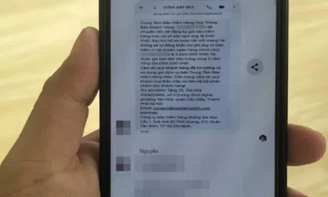 Mất số tiền lớn sau khi bấm đường link của kẻ giả danh shipper