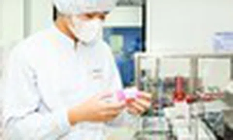 Cổ phiếu cần quan tâm ngày 24/11