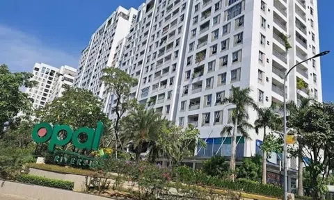 Thêm 4 dự án chung cư, đất nền TP.HCM được cấp sổ hồng