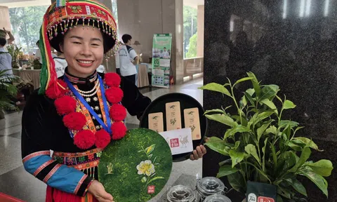 Rộn ràng khởi nghiệp ở vùng cao