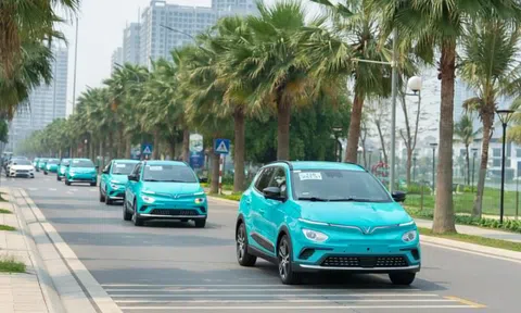 Hãng taxi điện của ông Phạm Nhật Vượng tăng vốn lên gần 1 tỷ USD