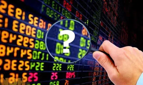 VN-Index dự báo sẽ vượt 1.700 điểm, CTCK gọi tên nhóm cổ phiếu kỳ vọng hút tiền mạnh