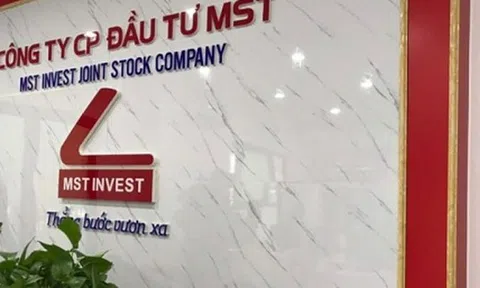 MST chào bán thành công 30 triệu cổ phiếu cho 9 nhà đầu tư trong nước