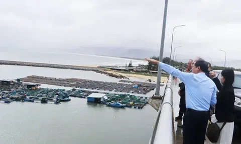 Gia Lai mời gọi đầu tư siêu dự án nhà máy điện gió hơn 48.000 tỉ đồng