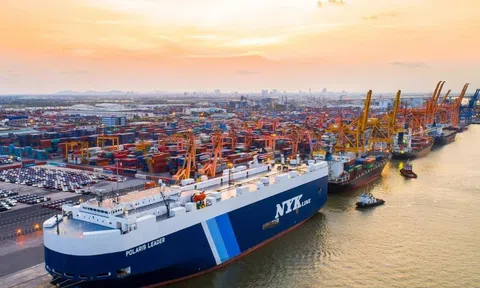 Vì sao Đông Hải trở thành CBD mới của siêu cảng Hải Phòng?