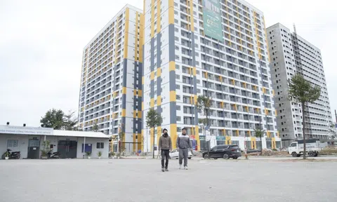 Bán hơn 3.400 căn nhà ở xã hội giá từ hơn 13 triệu/m2