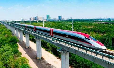 Cam kết của VinSpeed, Thaco nếu được làm đường sắt cao tốc Bắc - Nam