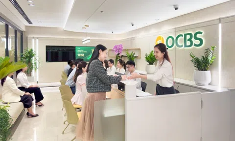 Kinh doanh bứt phá ngoạn mục, OCBS tăng vốn liên tiếp lên 3.200 tỷ cùng hàng loạt chuyển động lớn