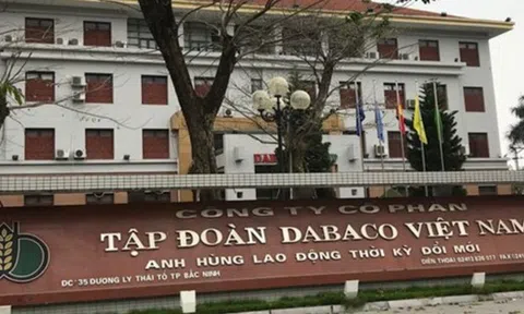 Dabaco bị xử phạt gần 400 triệu đồng