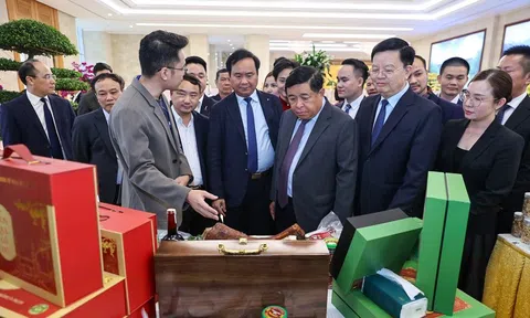 2 Phó Thủ tướng đồng chủ trì Diễn đàn về liên kết hiệu quả giữa hợp tác xã và doanh nghiệp