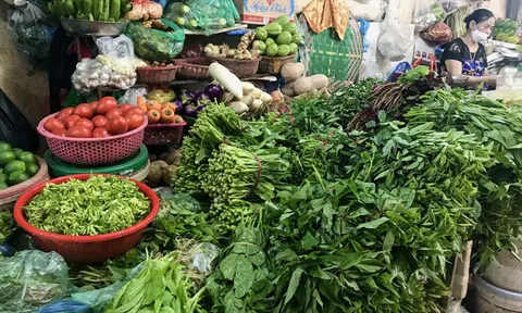 Tp.HCM kích hoạt giải pháp khẩn cấp giữ bình ổn giá rau