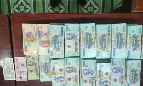 Bắt vụ tuồn hơn 7 tỷ tiền Việt qua biên giới An Giang