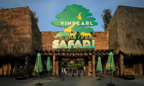 Cổ phiếu liên quan ông Phạm Nhật Vượng vừa được cấp margin