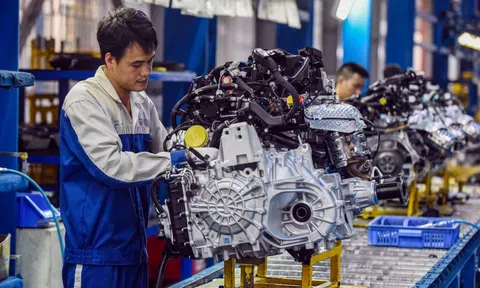 Doanh nghiệp Việt Nam thích nghi với biến động thương mại toàn cầu