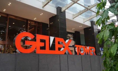 Cổ phiếu 'họ Gelex' đua nhau tăng trần