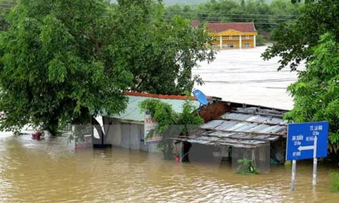 Khẩn trương hỗ trợ người nộp thuế bị tổn thất do mưa lũ