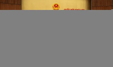 Sẽ có cơ chế đặc biệt làm dự án đường sắt cao tốc Bắc - Nam tuần sau