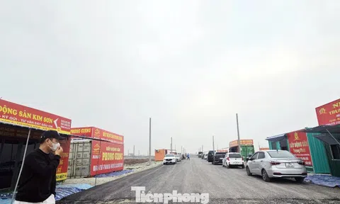 Đấu giá đất vùng quê: Chưa lên sàn 'cò đất' đổ về gây náo loạn