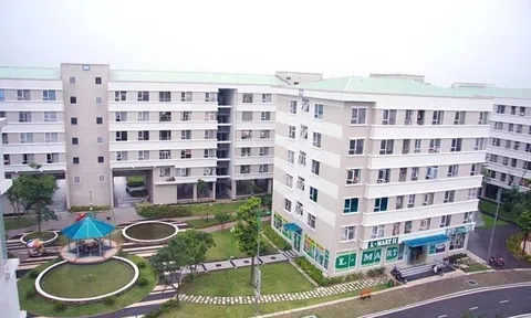 Lãi suất cho người trẻ vay mua nhà hiện ra sao?