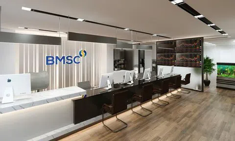 Chứng khoán Bảo Minh không còn là cổ đông tại Bidiphar