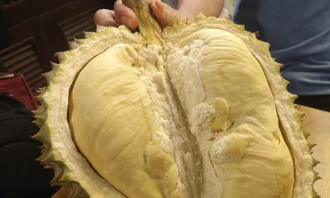 Giá sầu riêng trái vụ bất ngờ rớt mạnh