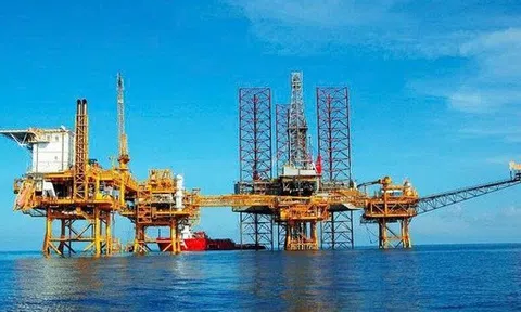 PVS hoàn tất phát hành hơn 33 triệu cổ phiếu trả cổ tức cho cổ đông