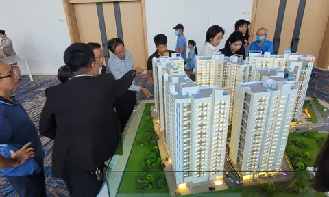 Kỳ vọng sàn bất động sản quốc gia