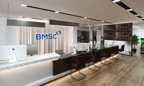 Lộ diện 5 doanh nghiệp mua hơn 48 triệu cổ phiếu 'ế' của Chứng khoán Bảo Minh