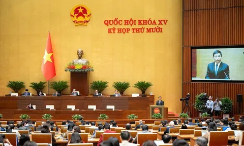 "Chốt" ngưỡng chịu thuế của hộ kinh doanh là 500 triệu đồng