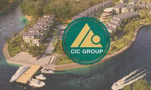 Cuối năm, hàng loạt công ty trên sàn chứng khoán thay đổi nhân sự chủ chốt