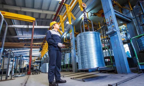 Tin vui cho tỷ phú Trần Đình Long: Thép dây mạ kẽm Hòa Phát hưởng mức thuế 5,7% vào Canada, trong khi "đối thủ" khác chịu mức cao tới 158,9%