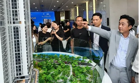 Ngược dòng, cổ phiếu QCG “tím lịm” phiên thứ 2 giữa lúc VN-Index “lao dốc” mạnh