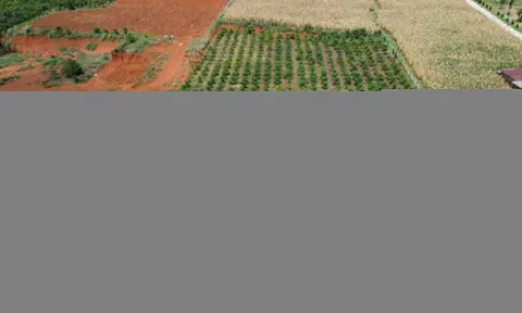 Chấm dứt cảnh chuyển đổi đất vườn lên đất ở nộp thuế tiền tỷ