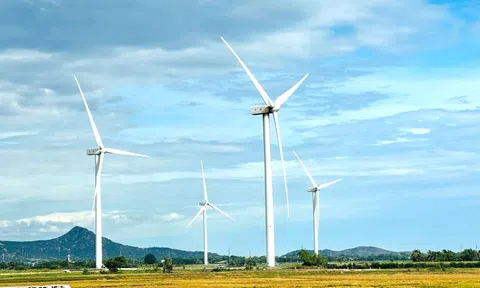 Miền Trung – Tây Nguyên chạy đua trở thành “thủ phủ” năng lượng mới