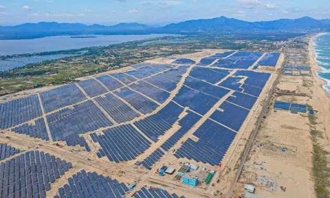 Bamboo Capital dự định thua lỗ đến năm 2027