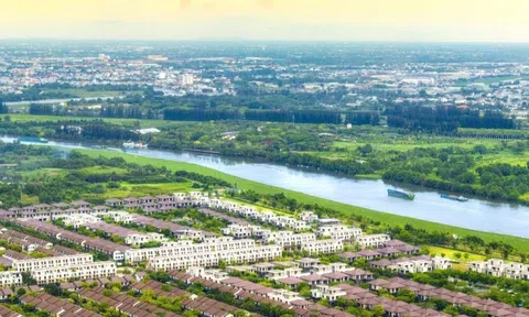 Khi kiều bào trở về quê hương tìm chốn an cư