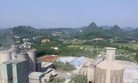 Có dấu hiệu tội phạm, nguy cơ thiệt hại hơn 1.000 tỷ tại Nhà máy Xi măng Quang Sơn