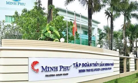Thủy sản Minh Phú chốt ngày trả cổ tức bằng tiền