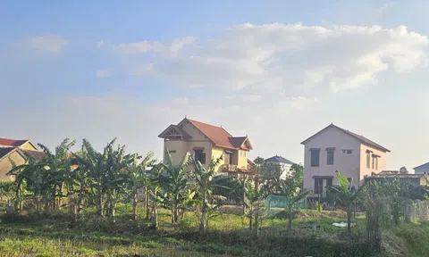 Quảng Trị: Sẽ thu hồi 1.500m² đất cho gia đình nguyên bí thư phường thuê 500.000 đồng/năm