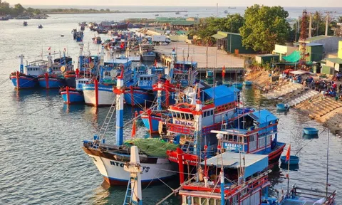 TP HCM góp phần tích cực gỡ "thẻ vàng" IUU