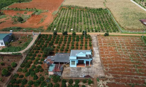 Chấm dứt cảnh chuyển đổi đất vườn lên đất ở nộp thuế tiền tỷ