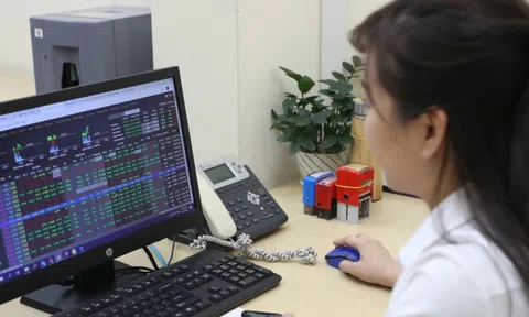 Nhà đầu tư có nên 'bắt đáy' sau pha VN-Index chao đảo?