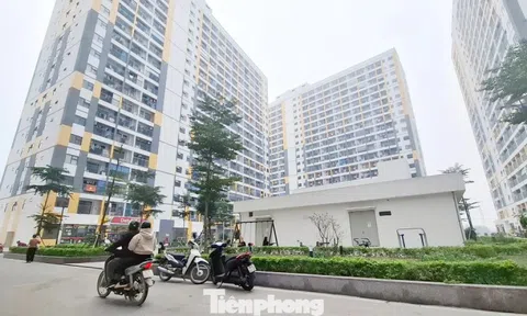 Bắc Ninh, Hải Phòng phát hiện hàng loạt sai phạm mua bán nhà ở xã hội