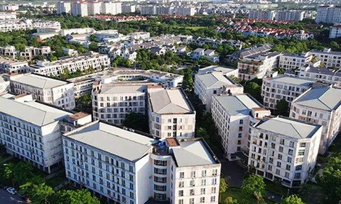 Trường hợp nào được thuê, mua nhà ở xã hội không phải qua bốc thăm?